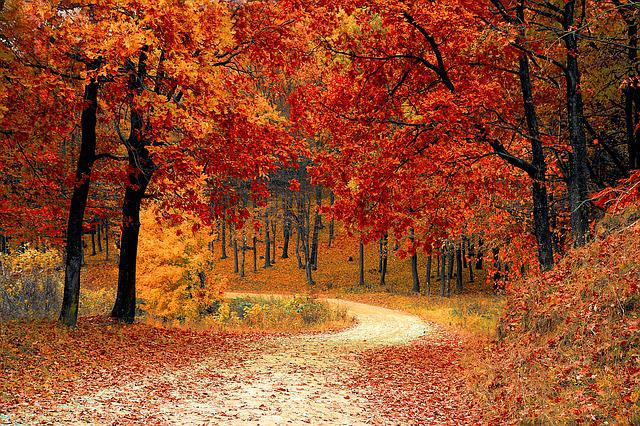 Autumn Nature Trail