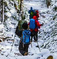 Hikers in Aspen