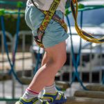harness harness